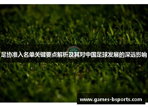 足协准入名单关键要点解析及其对中国足球发展的深远影响